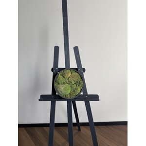 OUTLET Moosbild Kugelmoos 25 cm
