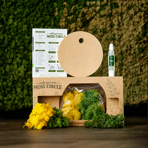 Die Moos-Geschenkbox Gelb