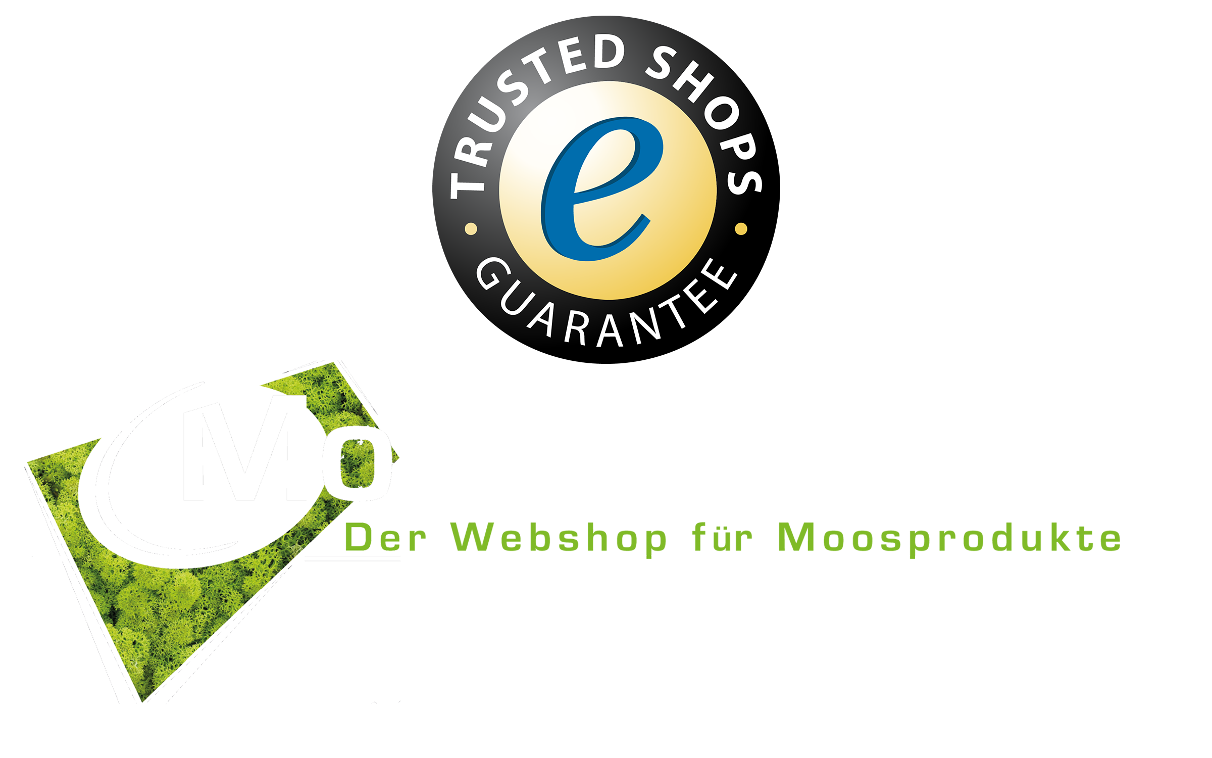 footer-logo