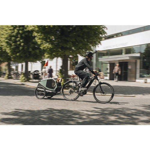 Thule fiets/wandelkar Thule Bexey M hondenfietskar Thule fiets/wandelkar Thule Bexey M hondenfietskar