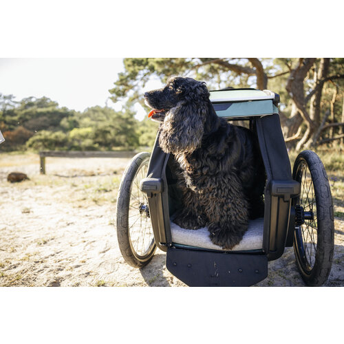 Thule Thule Bexey dog bed M