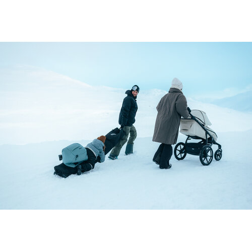Thule ski/snowboardtas Thule RoundTrip Skiroltas 175 cm zwart