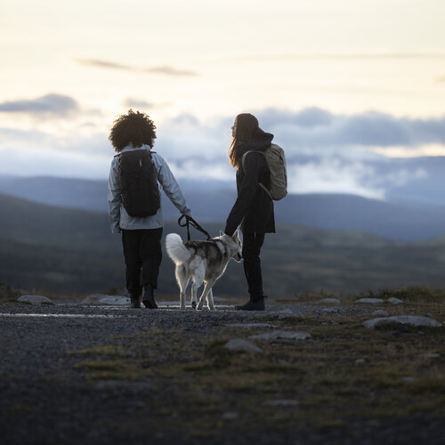 Thule drinkrugtassen