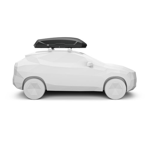 Thule dakkoffer Dakkoffer Thule Pulse 2 L met 450 liter kleur zwart