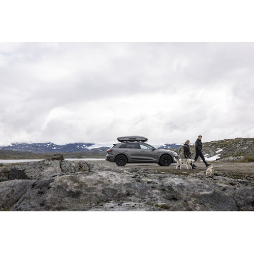 Thule dakkoffer Thule dakkoffer Motion 3 XL 490 liter grijs hoogglans