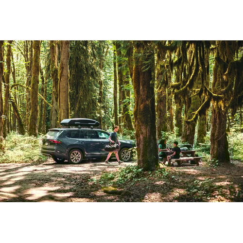 Thule dakkoffer Dakkoffer Thule Force 3 XXL Sport