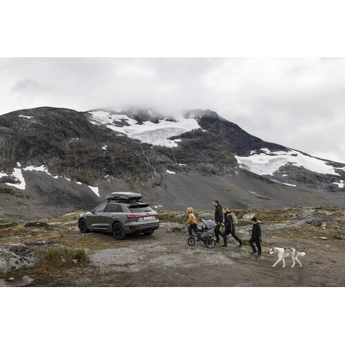 Thule dakkoffer Thule dakkoffer Motion 3 XXL 590 liter grijs hoogglans