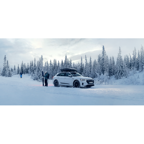 Thule dakkoffer Thule dakkoffer Vector M grijs hoogglans