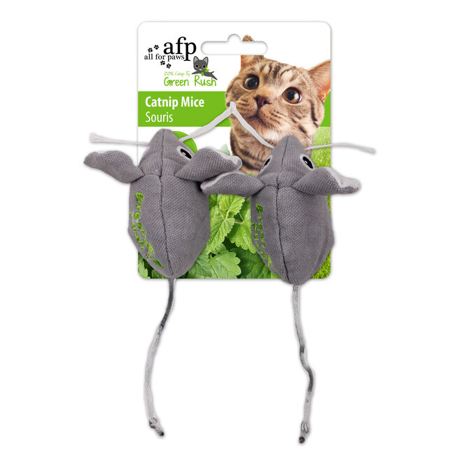 All For Paws Katzenspielzeug Catnip Maus