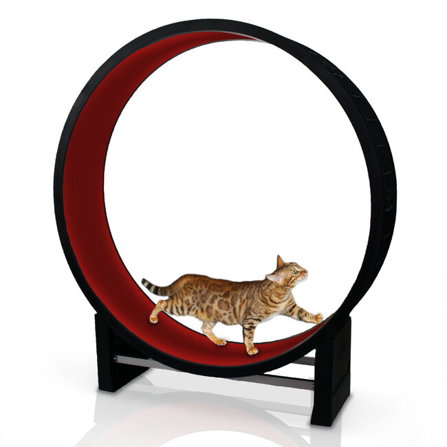 CanadianCat Company Katzenrad Cat in Motion Schwarz/Rot