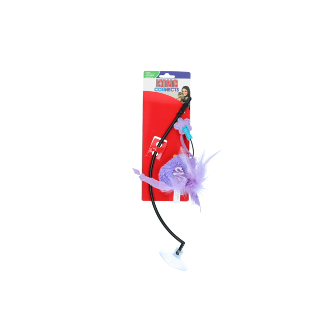 KONG Connects Window Teaser