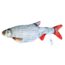 Robocat Rotauge Bewegende Fisch mit USB
