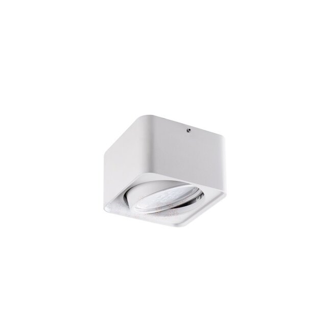 LED AR111 Aufbauspot weiß viereckig - für 1 LED AR111 Spot