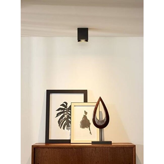 LED Deckenspot - Wüfel viereckig - Schwarz  - mit GU10 Fassung - schwenkbar - exkl. LED Spot