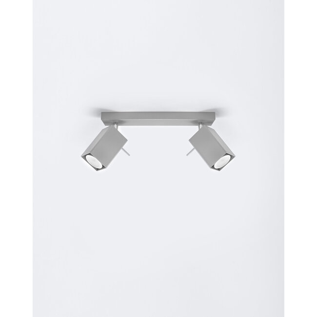 LED Deckenspot Grau MERIDA - 2 x GU10 Fassung - exkl. LED's