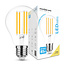 10er Vorteilspack - LED Fadenlampe dimmbar - E27 A60 10W - 2700K