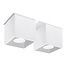 Deckenspot QUAD 2 Weiß - 2x GU10 Fassung - max. 2x40W - exkl. LED's