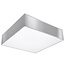 Deckenspot HORUS 35 Grau - 2x E27 Fassung - max. 2x60W - exkl. LED's