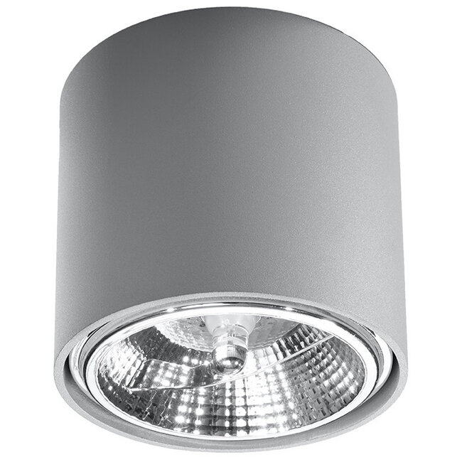 Deckenspot TIUBE Grau - 1x GU10 / ES111 Fassung - max. 40W - exkl. LED's