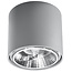 Deckenspot TIUBE Grau - 1x GU10 / ES111 Fassung - max. 40W - exkl. LED's