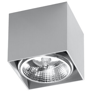 Deckenspot BLAKE Grau - 1x GU10 / ES111 Fassung - max. 40W - exkl. LED's