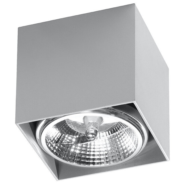 Deckenspot BLAKE Grau - 1x GU10 / ES111 Fassung - max. 40W - exkl. LED's