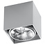 Deckenspot BLAKE Grau - 1x GU10 / ES111 Fassung - max. 40W - exkl. LED's