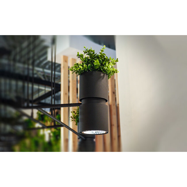 Wandleuchte KUKKIA Schwarz - 1x GU10 / ES111 Fassung - max. 40W - exkl. LED's