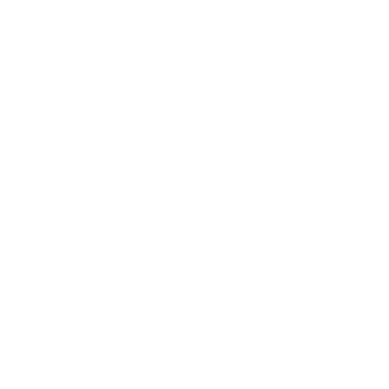 Veiligheidshesjes