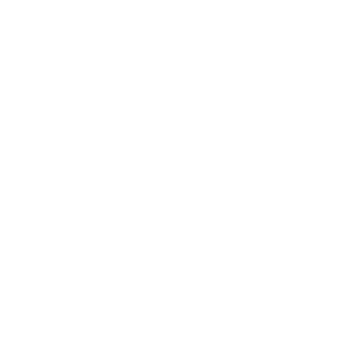 Veiligheidshesjes