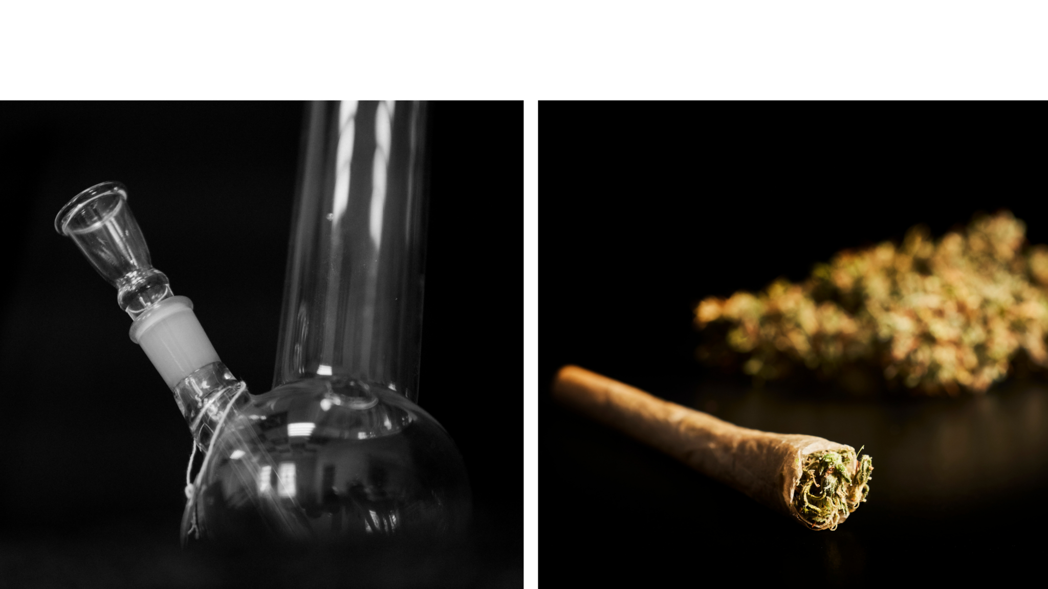 Bongify Bong vs. Joint which is better? Bongify