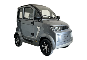 THOGO overdekte scootmobiel - rijbewijs vrij - 80 km bereik