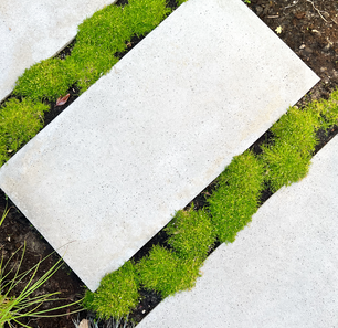 Schellevis Oudhollandse tegel 200x100x10 cm