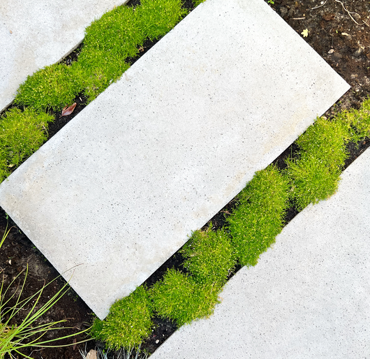 Schellevis Schellevis Oudhollands Grijs Tegel 200x100x10cm