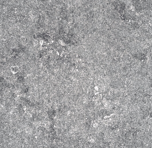 SignaStone Signa-20/100008