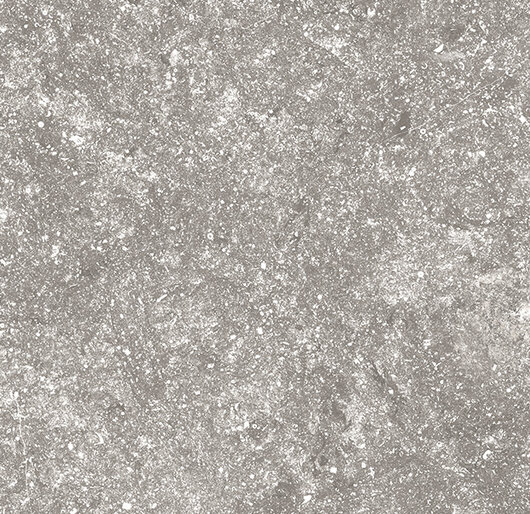 SignaStone Signa-20/200034