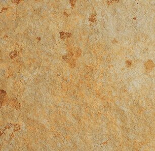 SignaStone Signa-20/200042