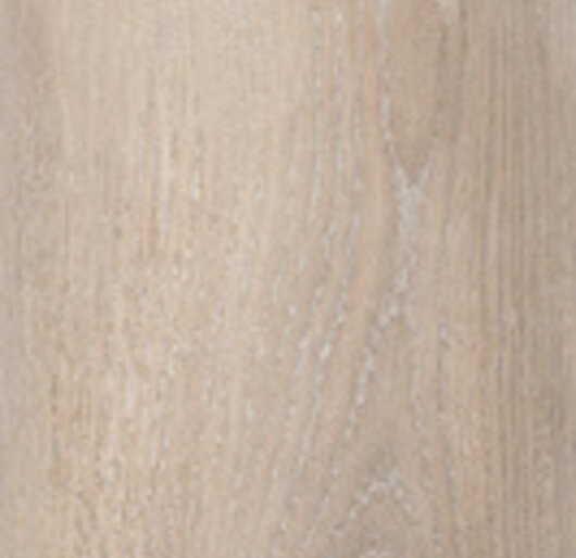 SignaStone Signa-20/500001