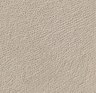SignaStone Signa-20/500020