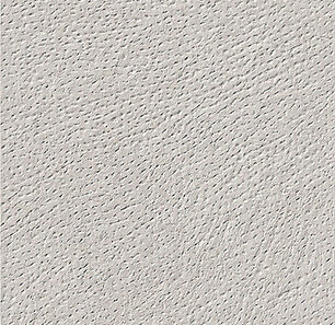 SignaStone Signa-20/500024