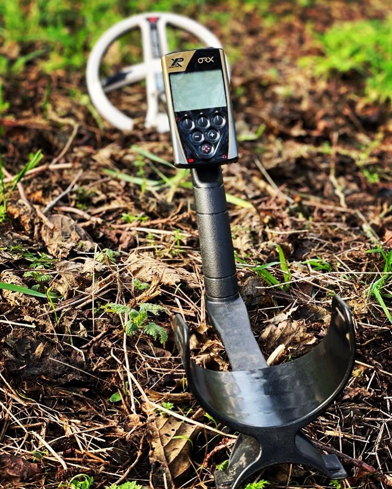 XP Metaaldetectors XP ORX met  22,5 cm HF schijf