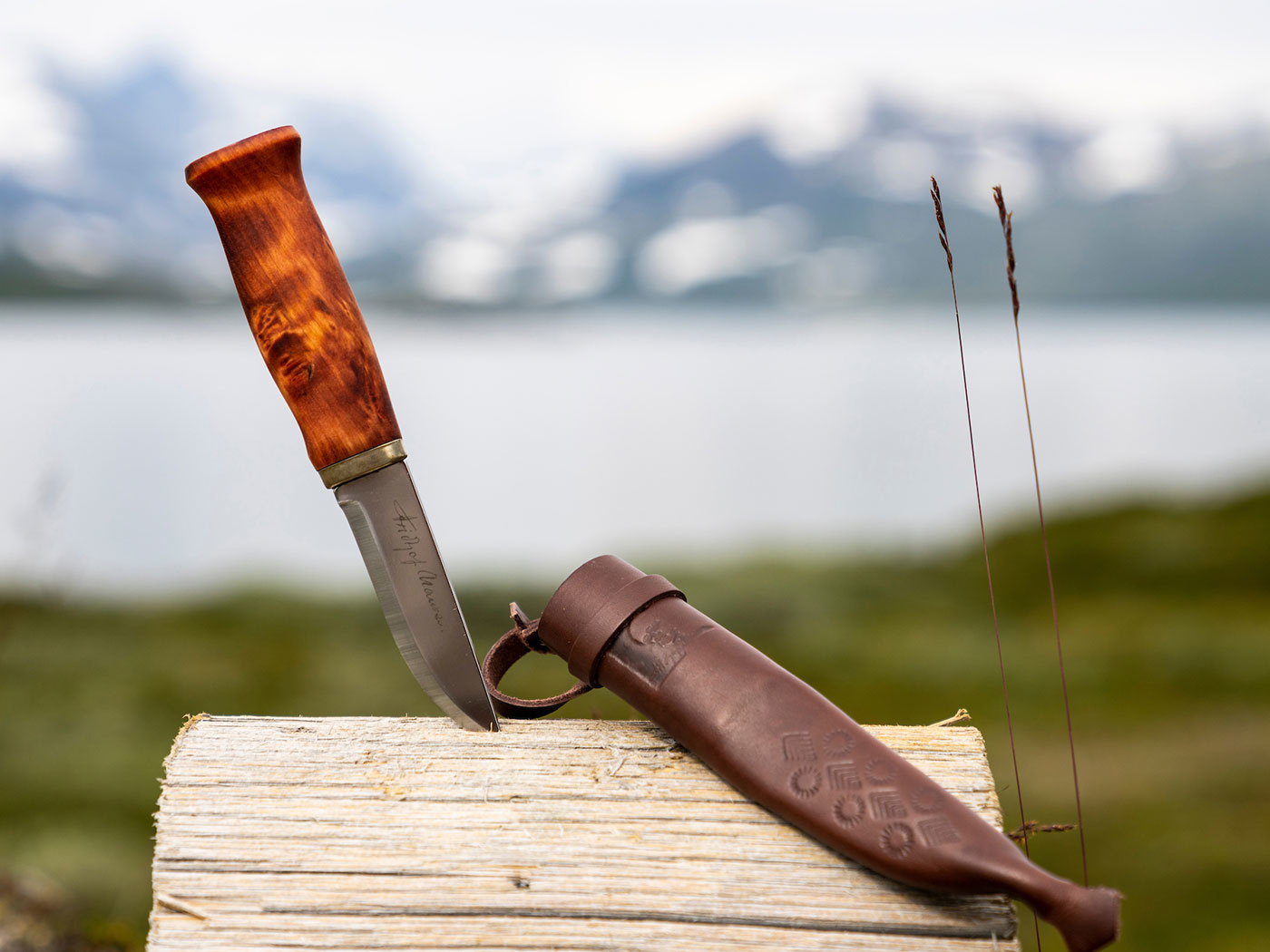 Brusletto Nansen Mes