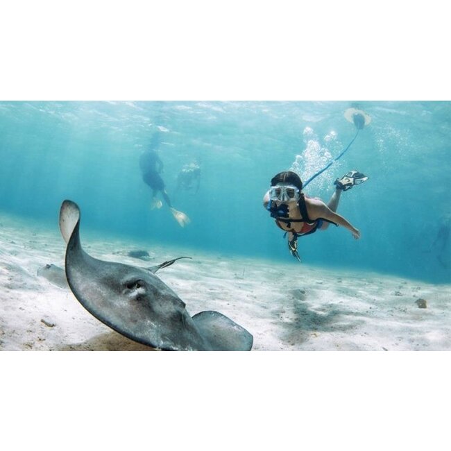 Blue3 Nemo Blu3 duikcompressor met boot