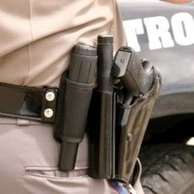 Garrett Garrett THD Security metaaldetector Handscanner