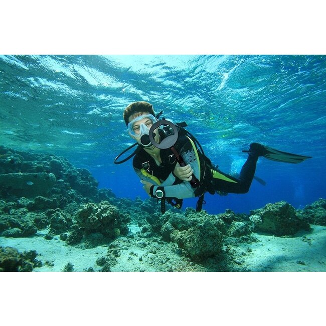 Nokta Makro Nokta PulseDive met 20 cm zoekspoel Zwart