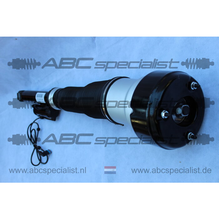 MERCEDES-BENZ Mercedes S-Klasse W221 Airmatic Schokbreker Veerpoot Achter Links A2213201338 A2213202113