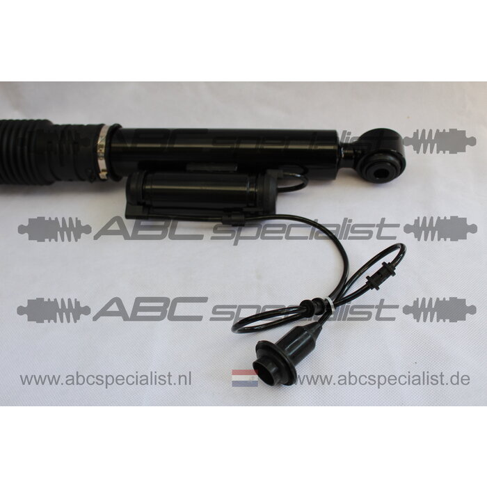 MERCEDES-BENZ Mercedes S Classe W220 Airmatic Ammortizzatore Posteriore Sinistra A2203202338 A2203205013