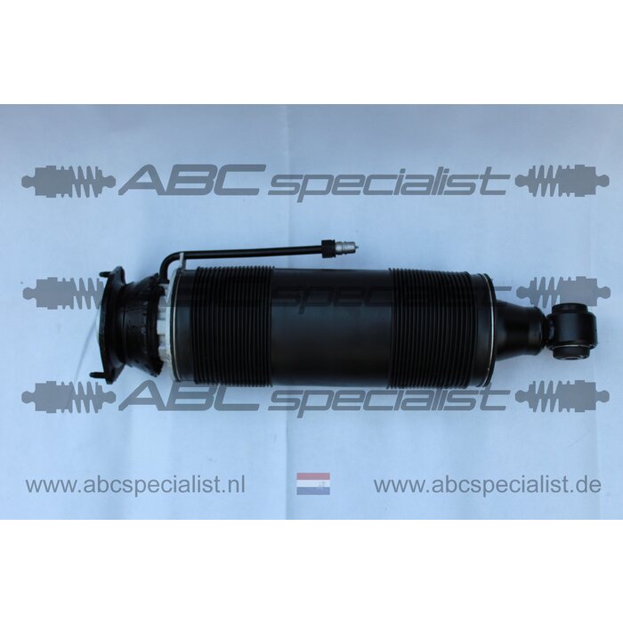 MERCEDES-BENZ Mercedes SL-Klasse R230 ABC Stoßdämpfer Federbein Hinten Links MOPF A2303200338 A2303204113