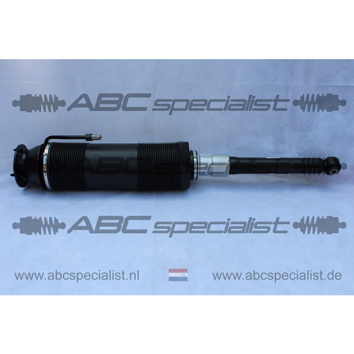 MERCEDES-BENZ Mercedes S-Klasse W220 ABC Stoßdämpfer Federbein Hinten Rechts A2203201813 A2203205613