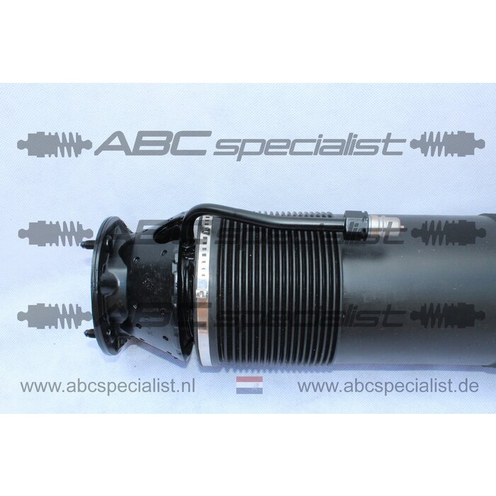 MERCEDES-BENZ Mercedes CL-Klasse C215 ABC Stoßdämpfer Federbein Hinten Rechts A2203201813 A2203205613